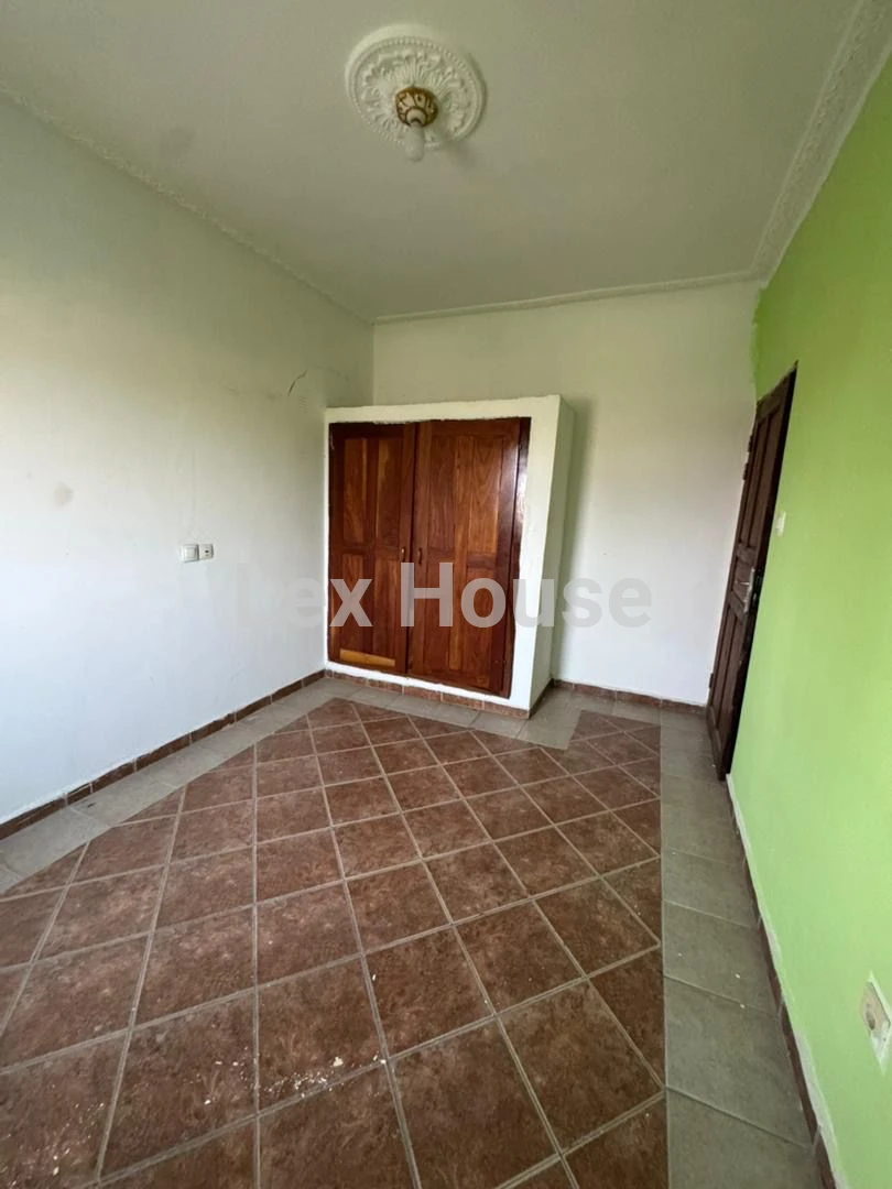 Grid Image 5