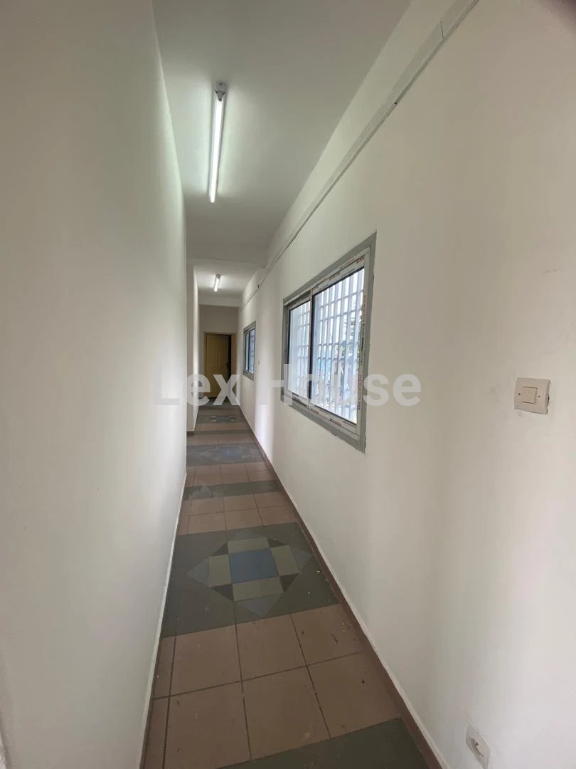 Grid Image 1