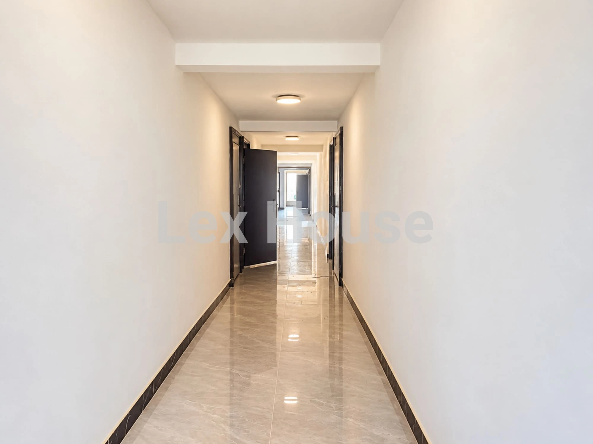 Grid Image 5